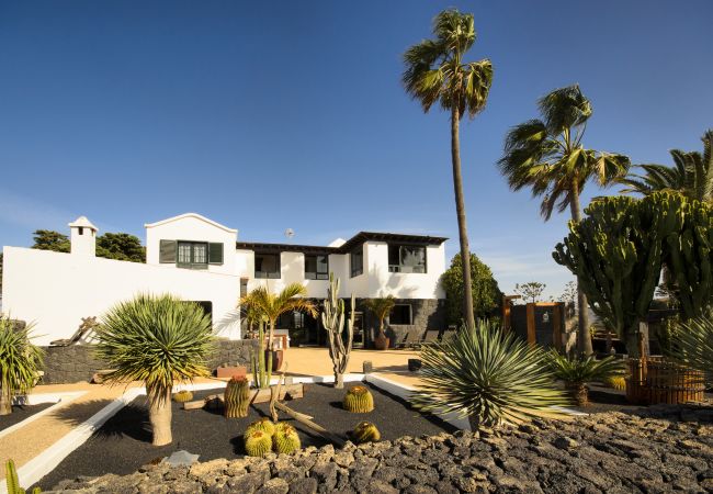 House in Masdache - Casa Perdomo, local culture within vines 